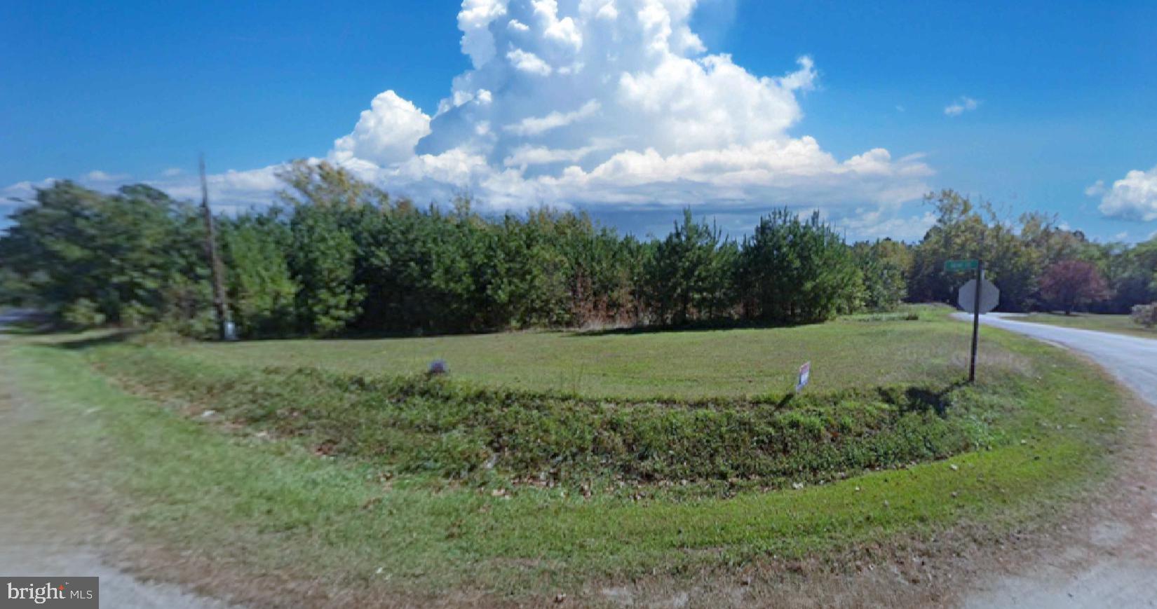 9518 Brink Road Emporia, VA 23847 - Photo 23 of 29 a view of a grassy field