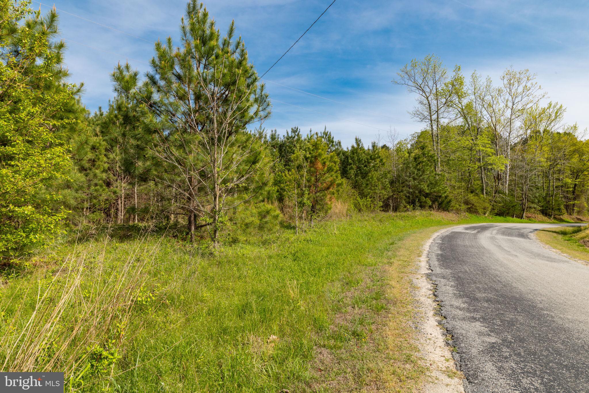 9518 Brink Road Emporia, VA 23847 - Photo 24 of 29 a view of a yard with basketball court