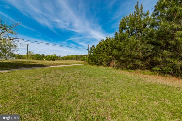 a view of a city with lush green forest