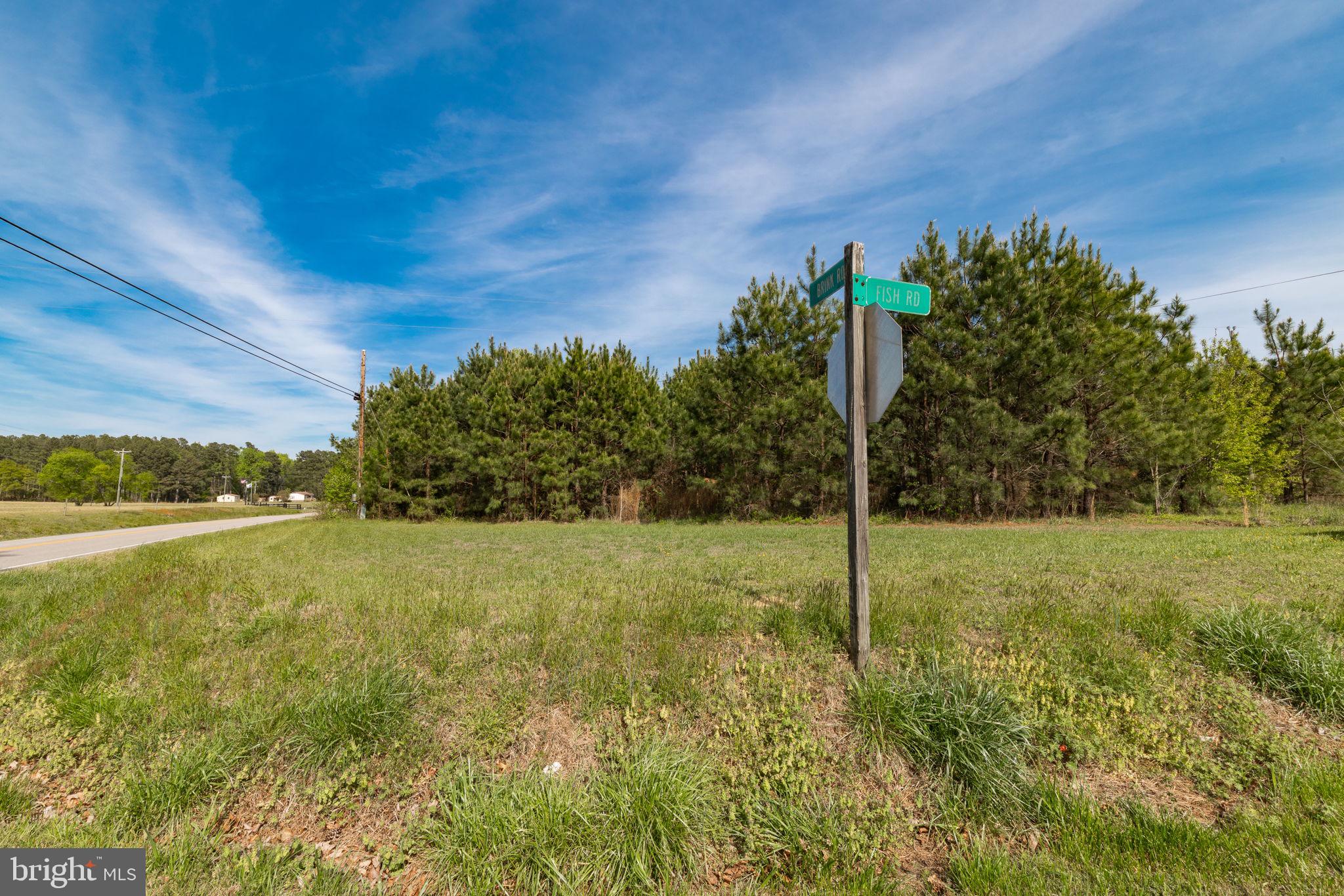 9518 Brink Road Emporia, VA 23847 - Photo 27 of 29 a view of a garden with an outdoor space