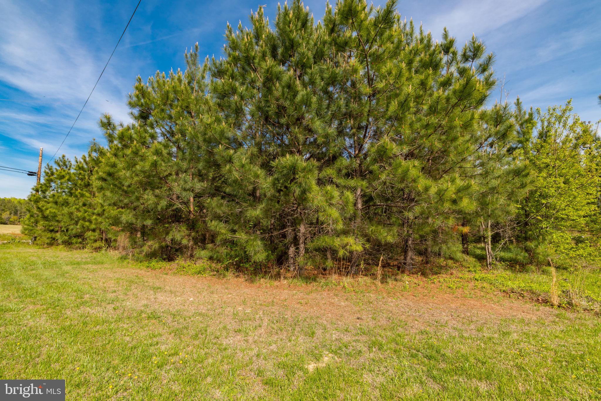 9518 Brink Road Emporia, VA 23847 - Photo 28 of 29 a view of ocean