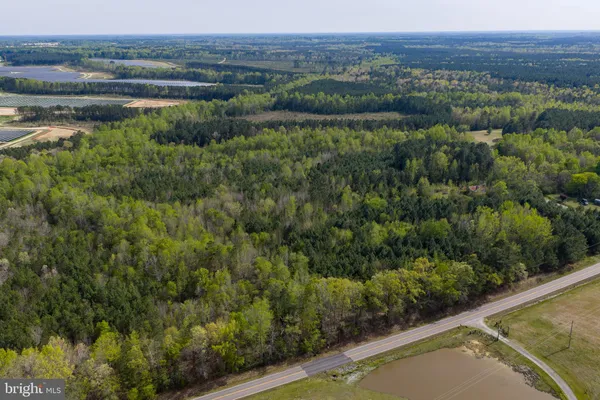 a view of a lake with a mountain and a wooden bridge