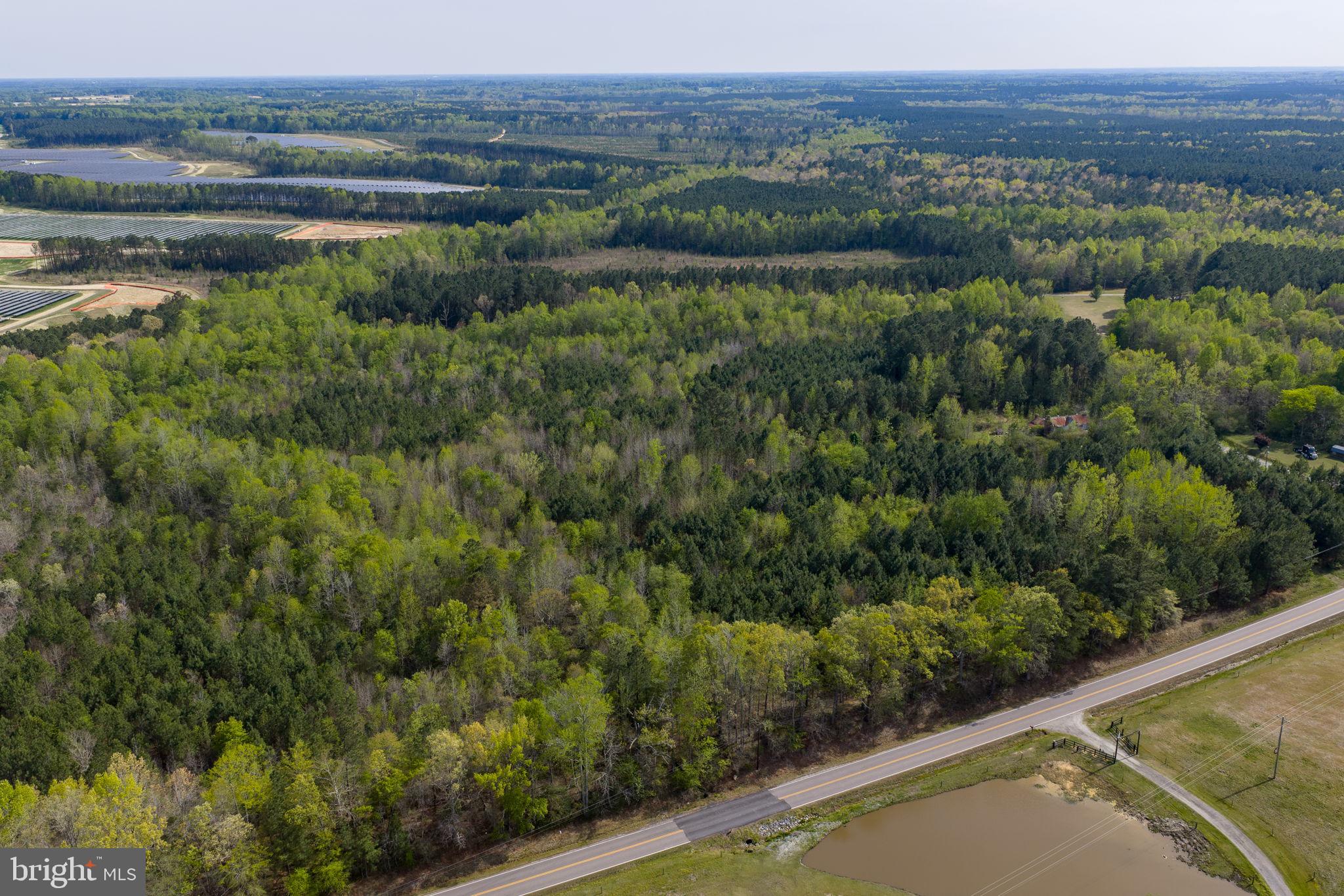 9518 Brink Road Emporia, VA 23847 - Photo 7 of 29 a view of a lake with a mountain and a wooden bridge