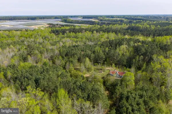 a view of a field with an ocean
