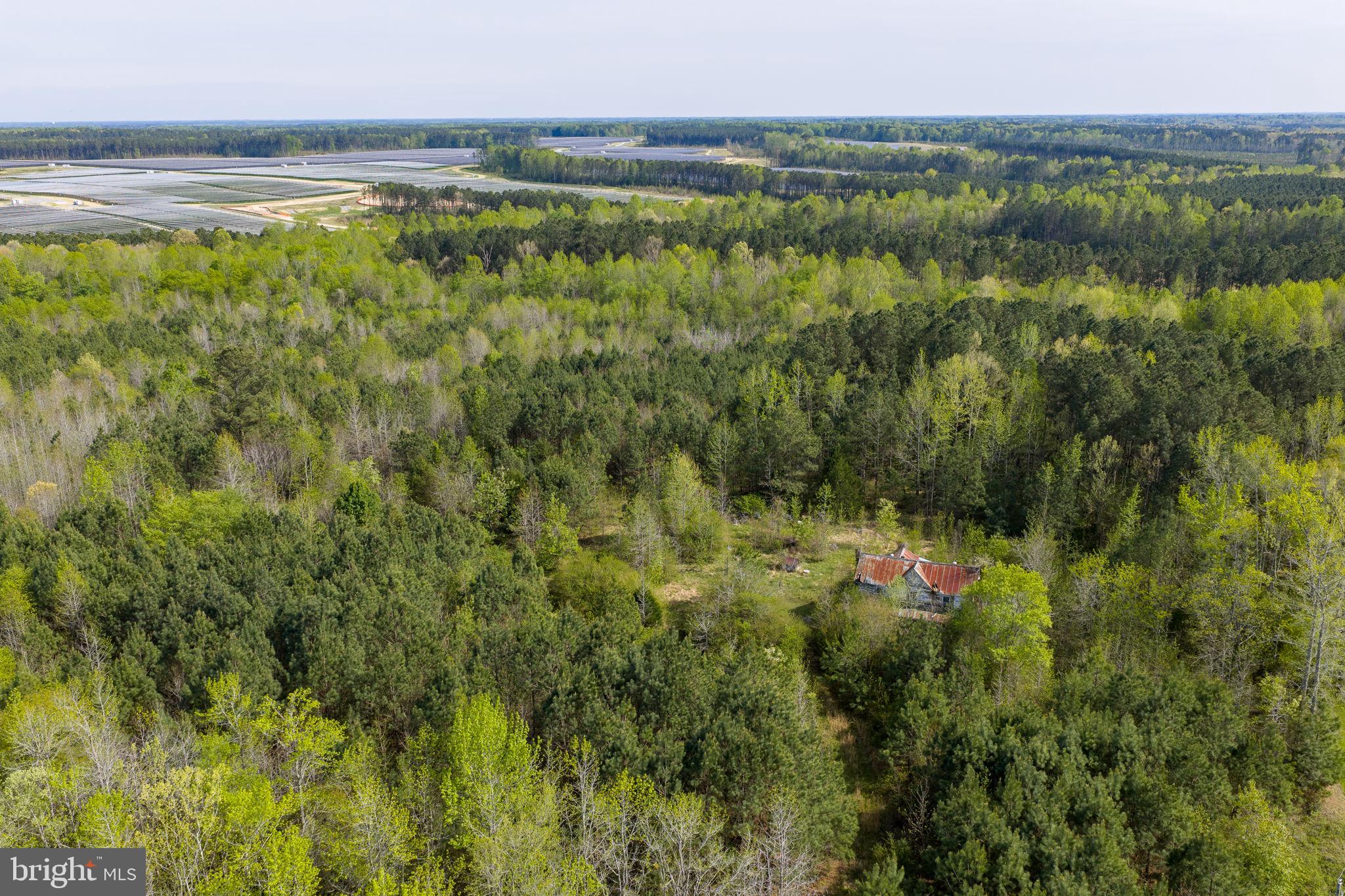 9518 Brink Road Emporia, VA 23847 - Photo 8 of 29 a view of a field with an ocean