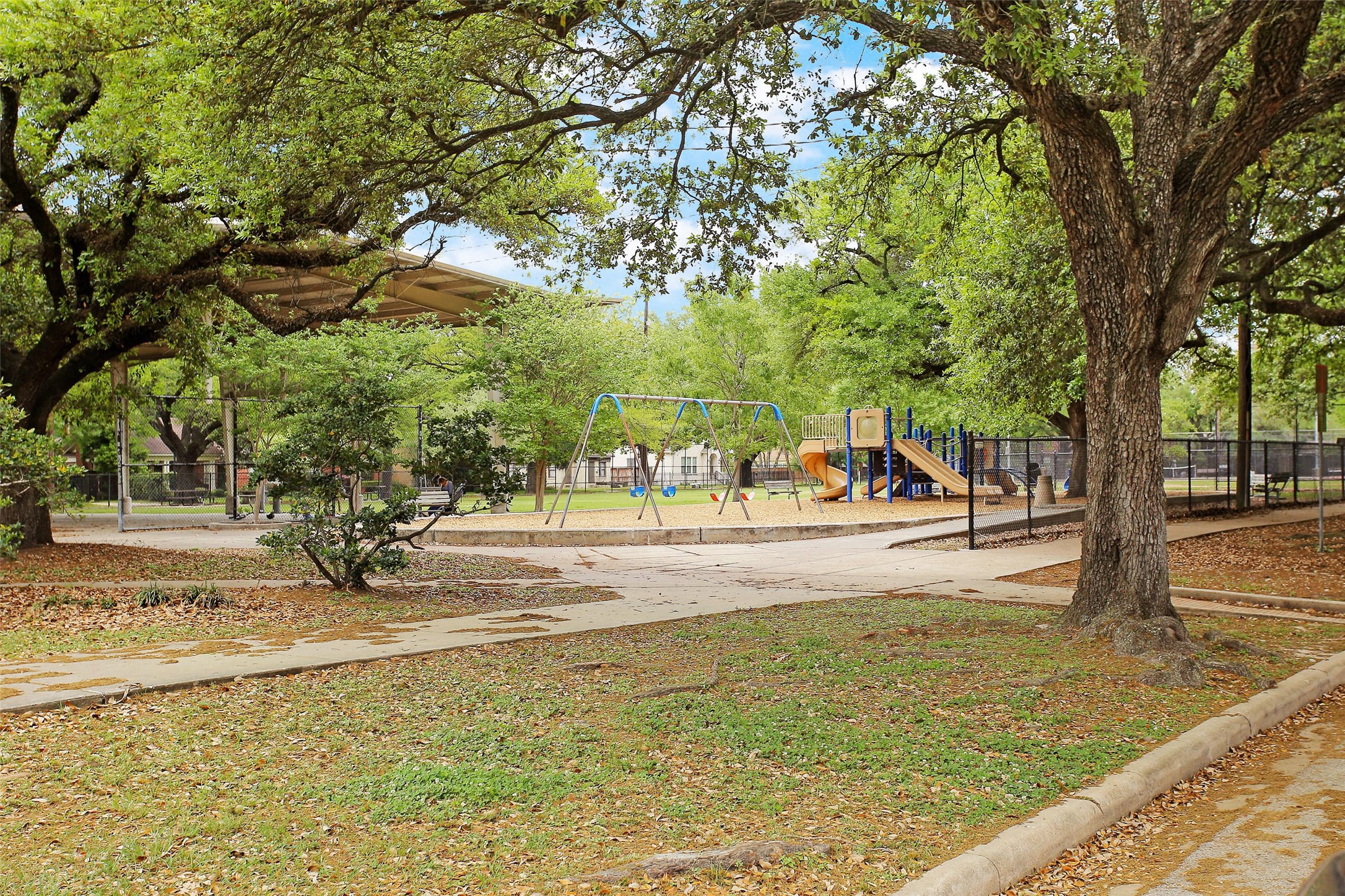 213 West 26th Street Houston, TX 77008 - Photo 30 of 33 a view of a yard with large trees