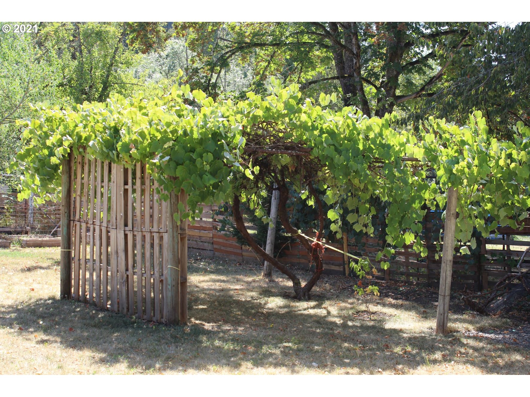 6505 Main Street Springfield, OR 97478 - Photo 19 of 22