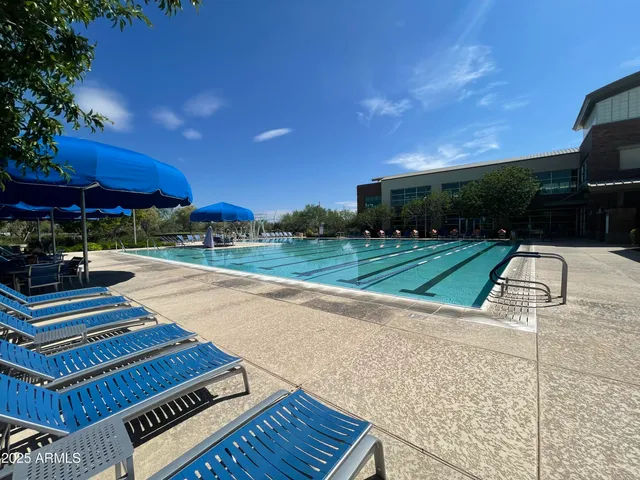 a view of a lake with a yard and potted plants