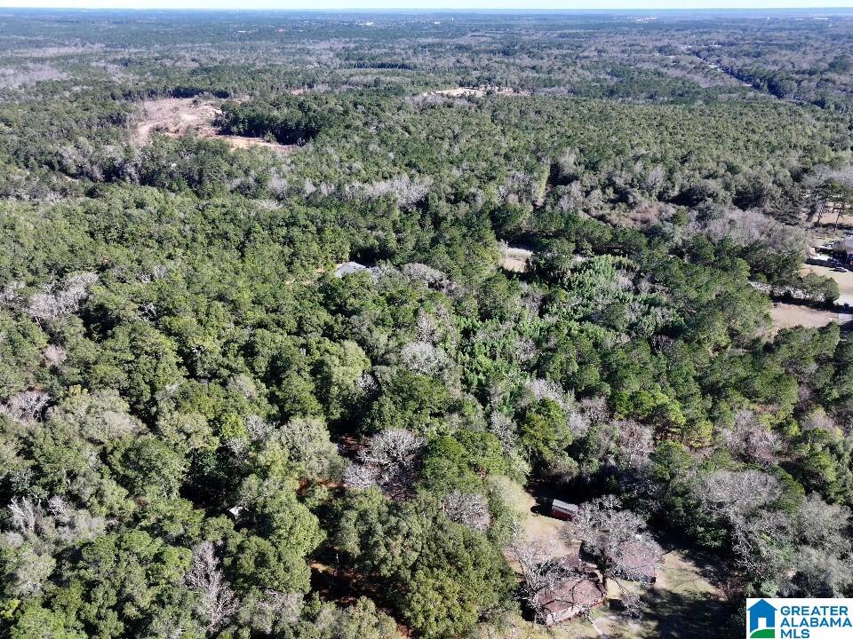 0 North University Boulevard Mobile, AL 36613 - Photo 6 of 11