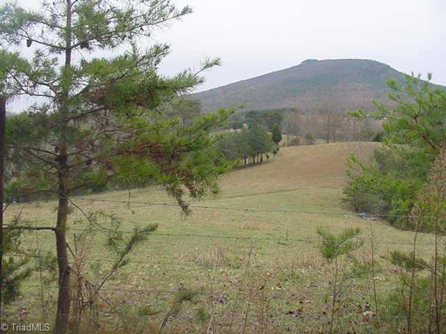 392 Jim McKinney Road Pinnacle, NC 27043 - Photo 3 of 9 Other.
