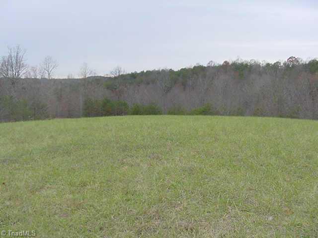 392 Jim McKinney Road Pinnacle, NC 27043 - Photo 6 of 9 Other.