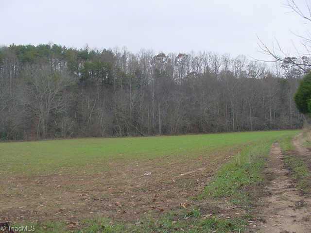 392 Jim McKinney Road Pinnacle, NC 27043 - Photo 7 of 9 Other.
