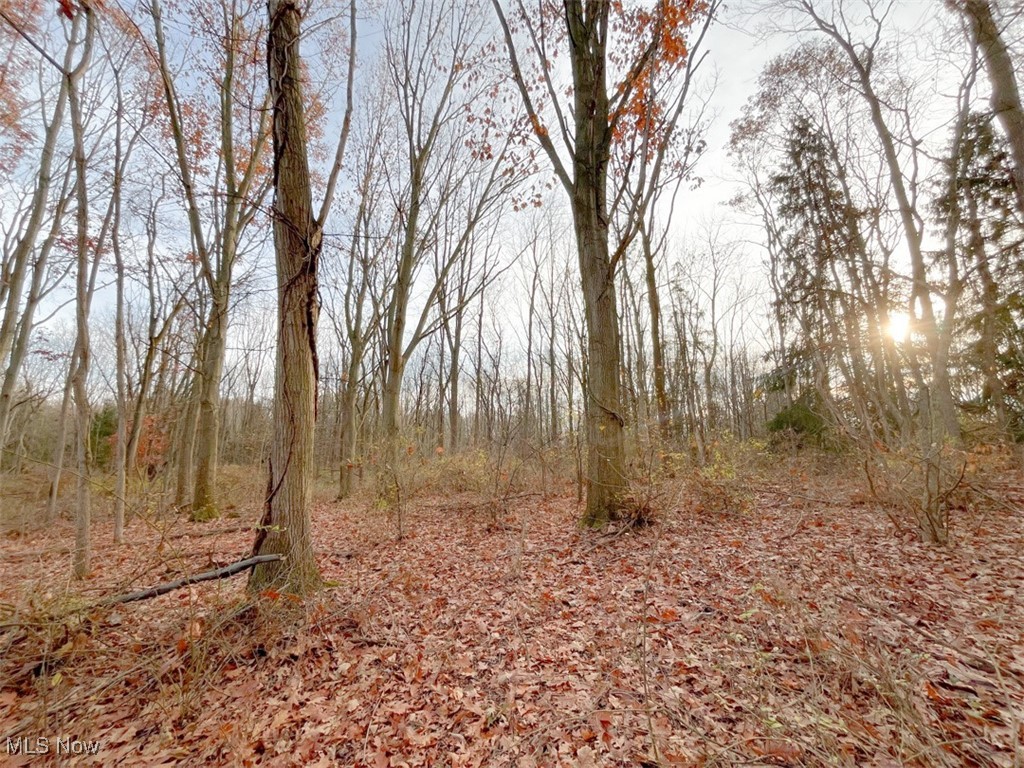 0 Harvey Circle Rittman, OH 44270 - Photo 29 of 35 View of local wilderness