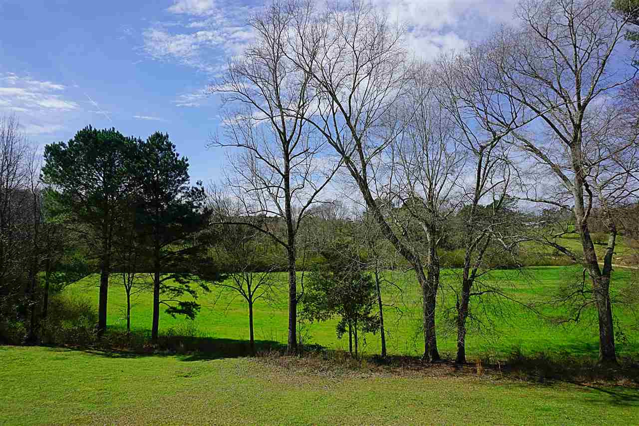 1911 Mars Hill Road Carthage, MS 39051 - Photo 29 of 36 View from the Deck