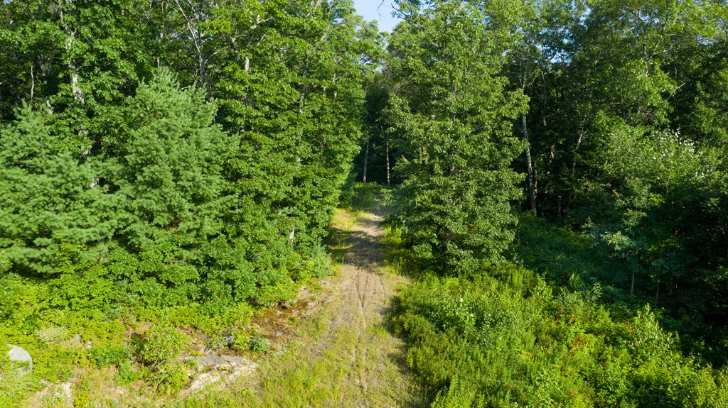 Lot 1 Old Gilbertville Road Ware, MA 01082 - Photo 10 of 11 Gallery Image 10