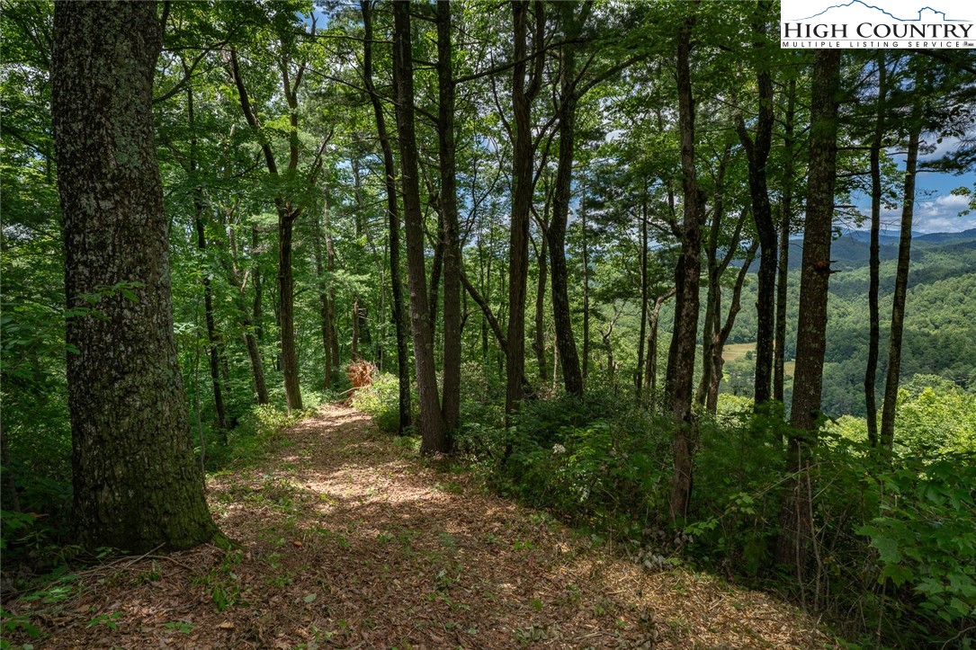 Autumn Ridge Drive Lenoir, NC 28645 - Photo 1 of 25 Gallery Image 1