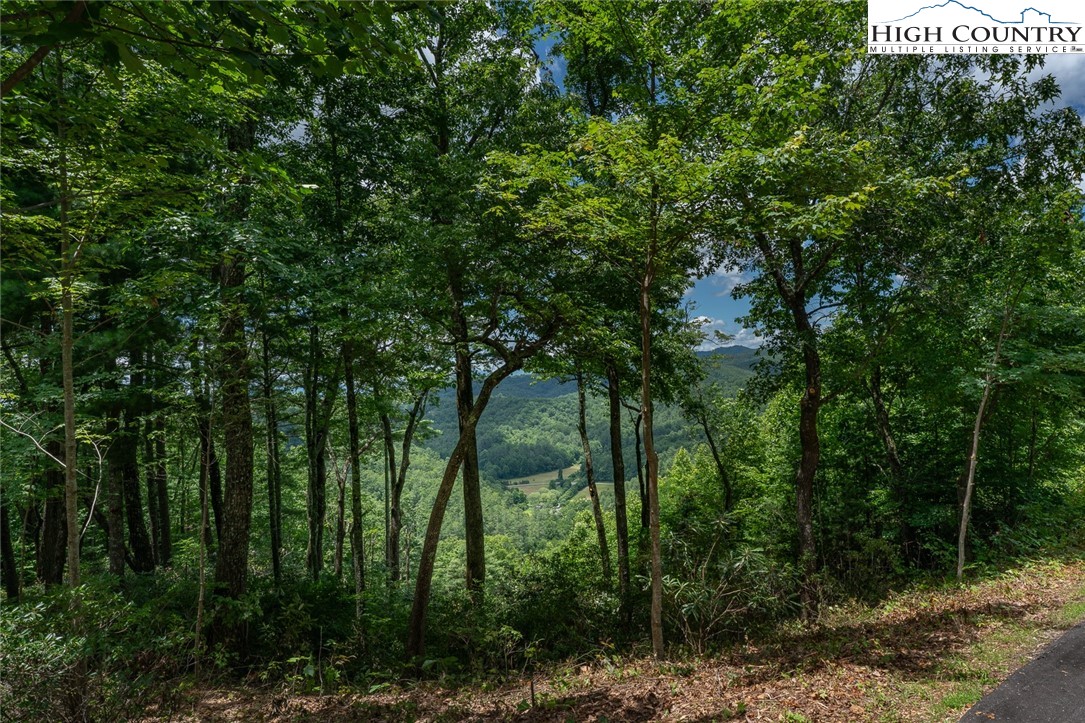Autumn Ridge Drive Lenoir, NC 28645 - Photo 3 of 25 Gallery Image 3