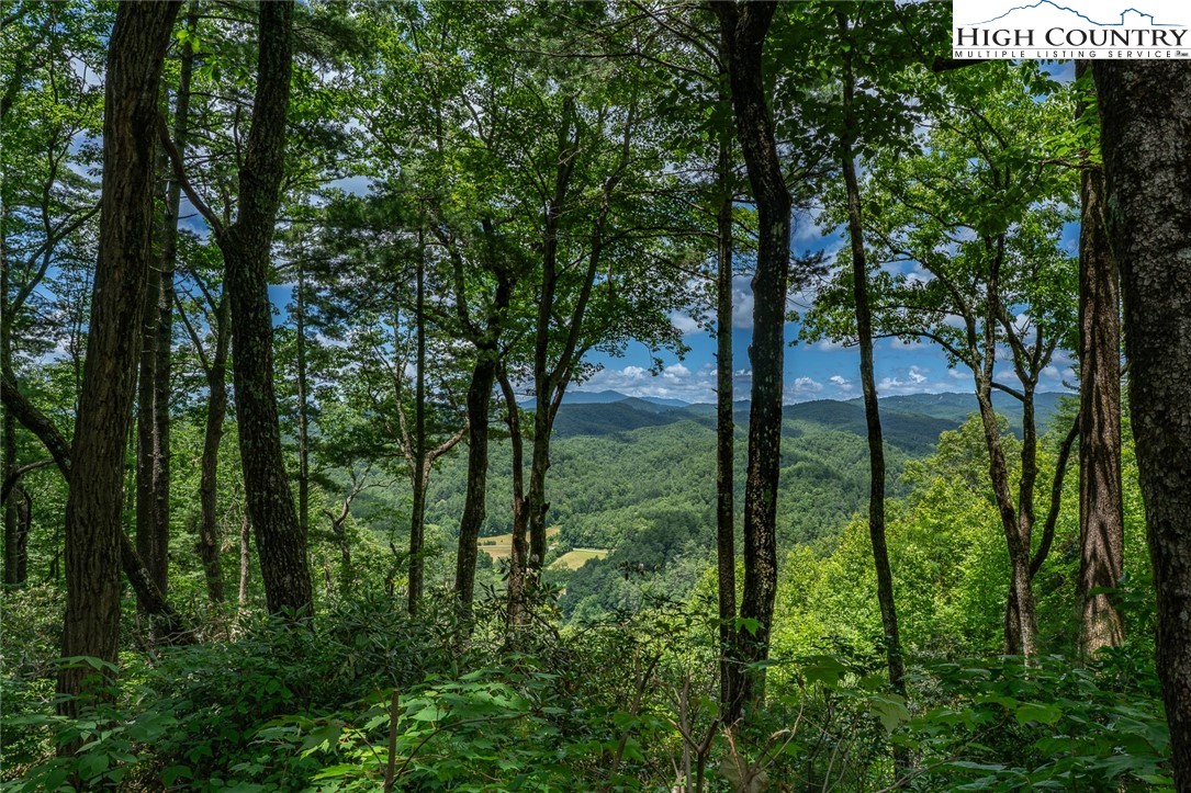 Autumn Ridge Drive Lenoir, NC 28645 - Photo 4 of 25 Gallery Image 4