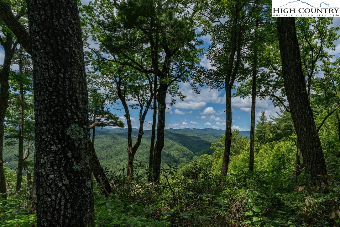 Autumn Ridge Drive Lenoir, NC 28645 - Photo 5 of 25 Gallery Image 5
