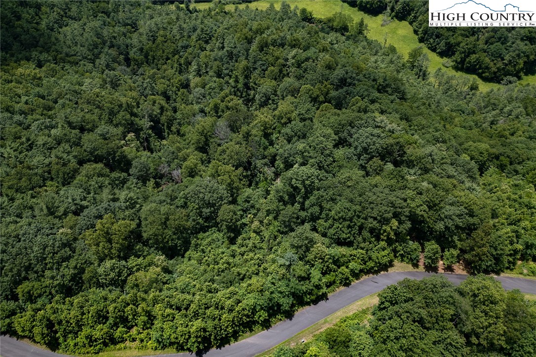 Autumn Ridge Drive Lenoir, NC 28645 - Photo 6 of 25 Gallery Image 6