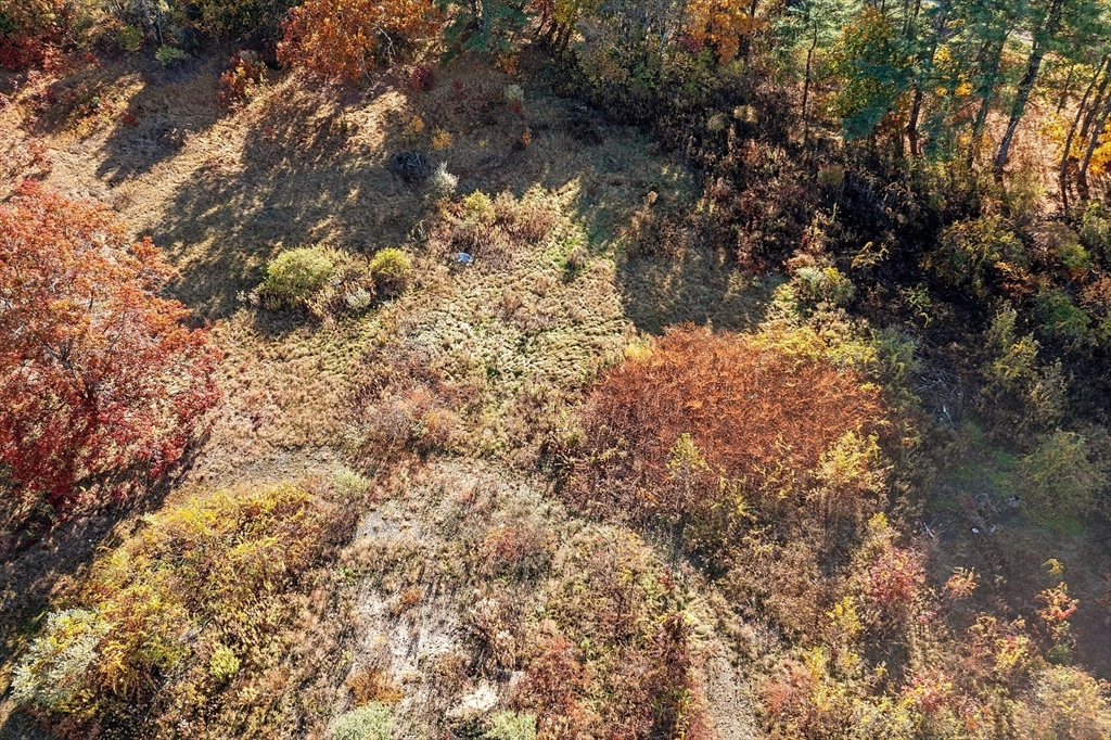 797 Boston Road Groton, MA 01450 - Photo 19 of 28 a view of a yard with a tree