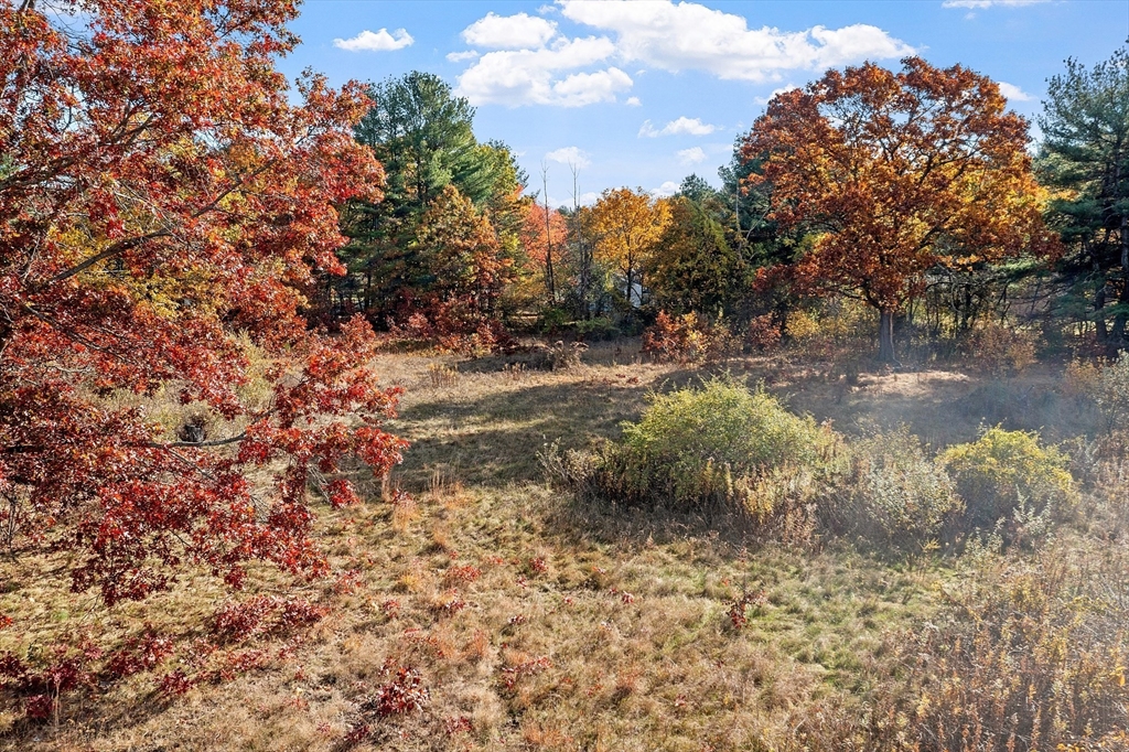 797 Boston Road Groton, MA 01450 - Photo 21 of 28 a view of a yard with a tree