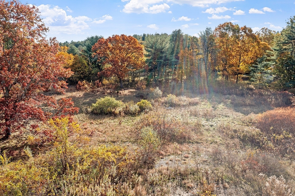 797 Boston Road Groton, MA 01450 - Photo 24 of 28 a view of a yard with trees in the background
