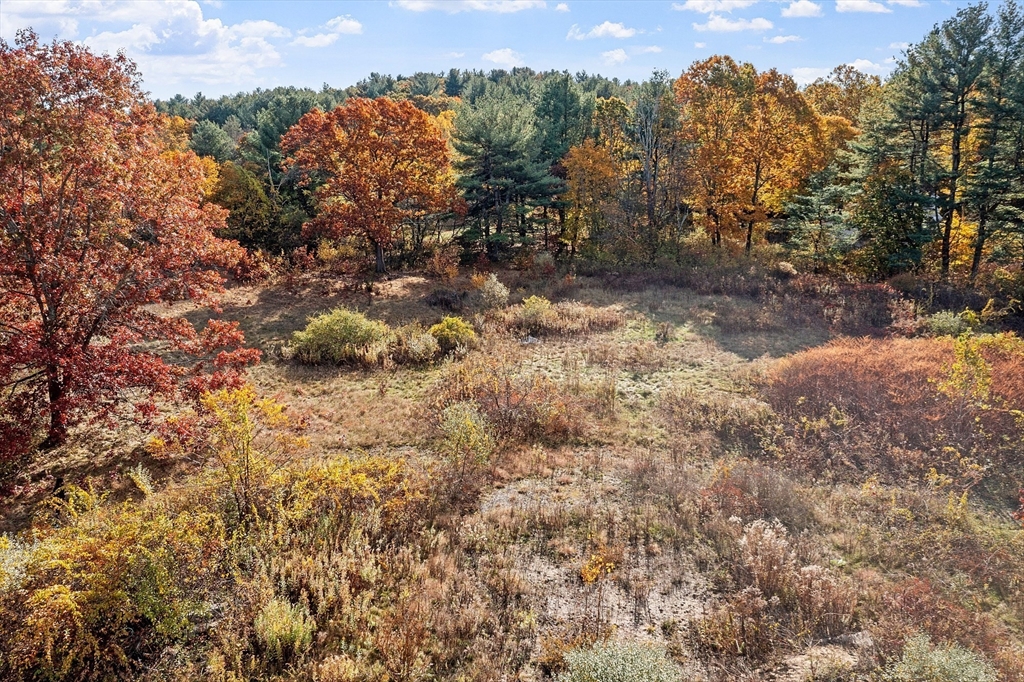 797 Boston Road Groton, MA 01450 - Photo 25 of 28 a view of a yard with a tree
