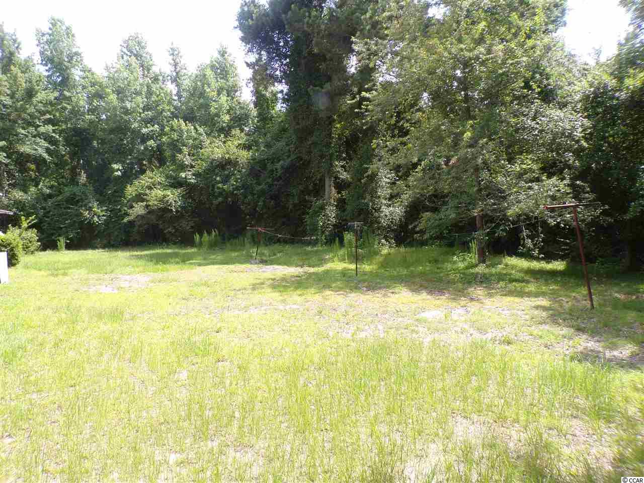 5227 Abram Loop Marion, SC 29571 - Photo 7 of 19 Gallery Image 7