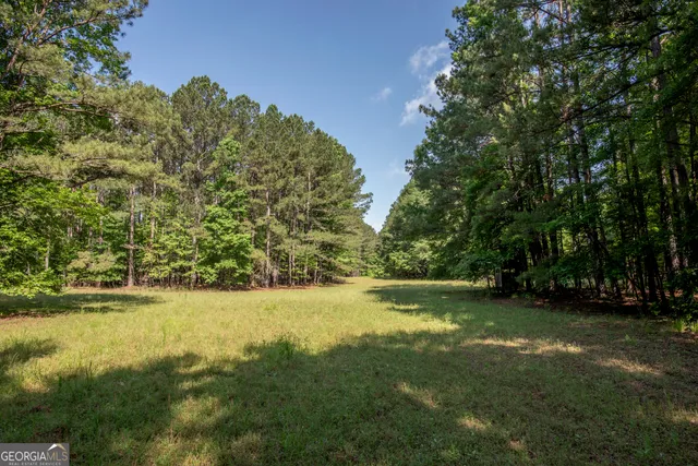 a view of a green field with lots of bushes