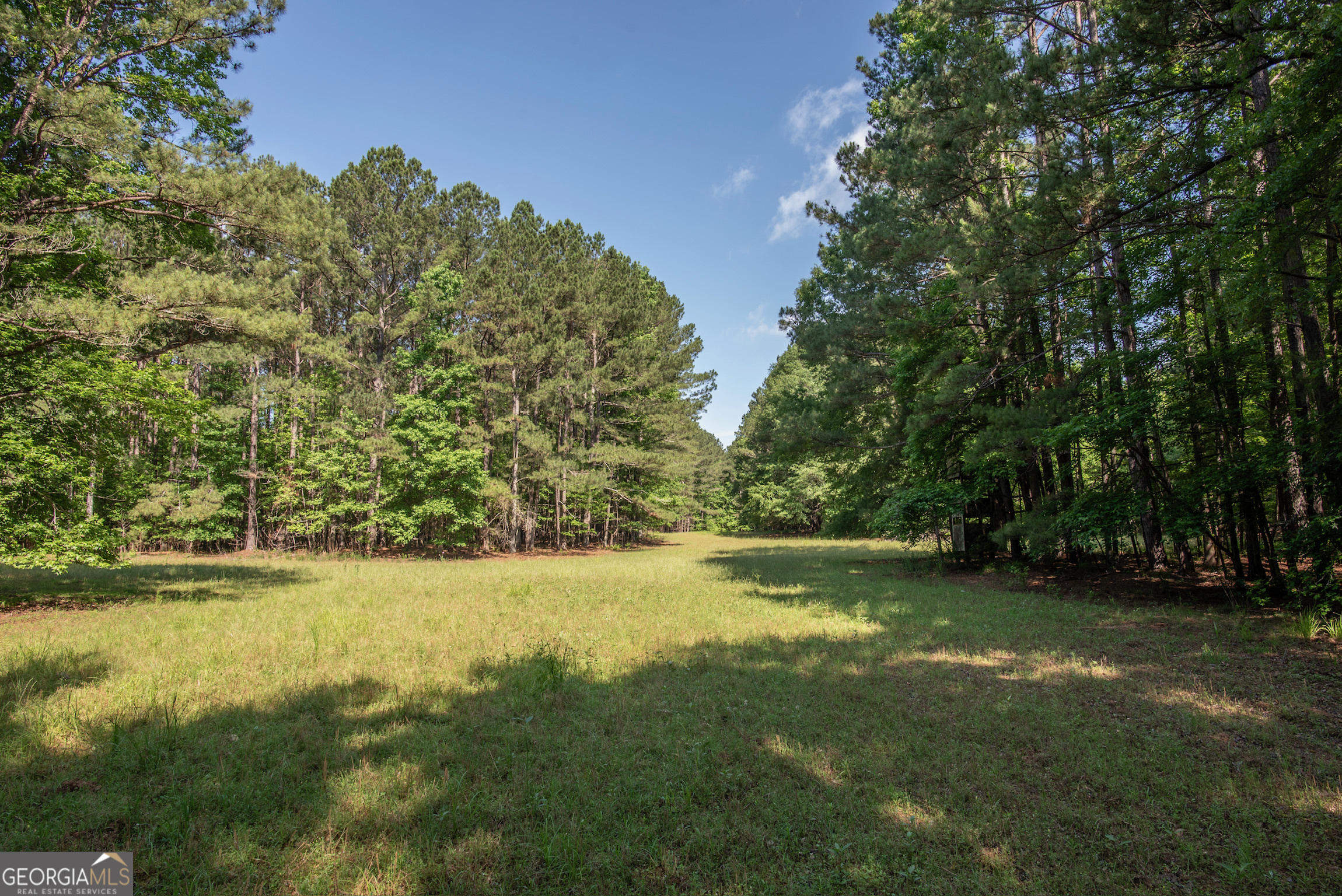 2720 Doster Road Madison, GA 30650 - Photo 49 of 60 a view of yard with trees in the background