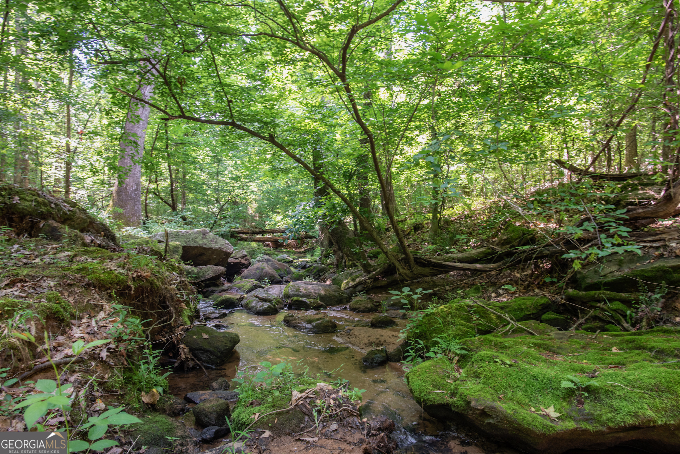 2720 Doster Road Madison, GA 30650 - Photo 50 of 60