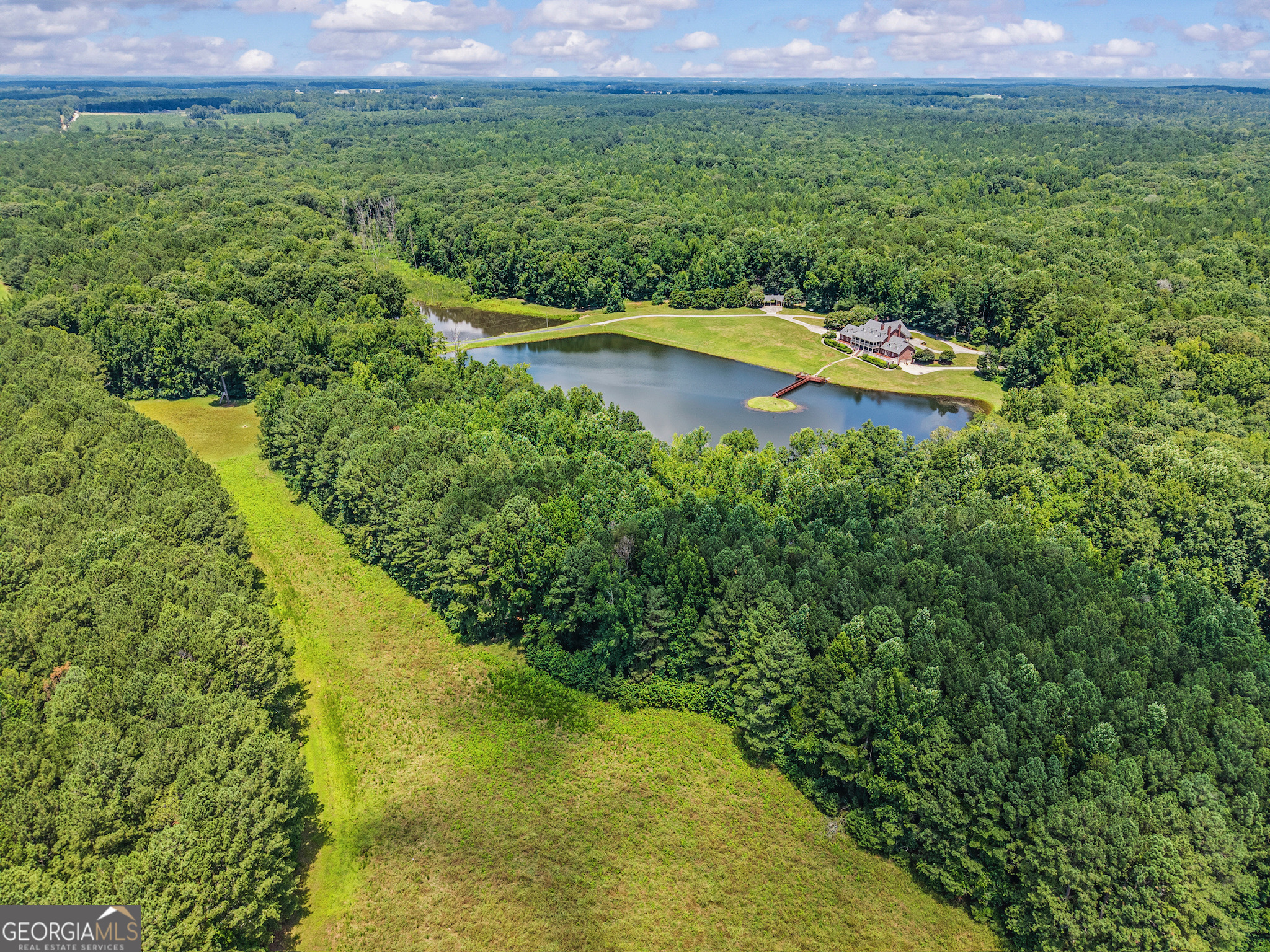 2720 Doster Road Madison, GA 30650 - Photo 53 of 60 a view of a lake with a yard and large trees