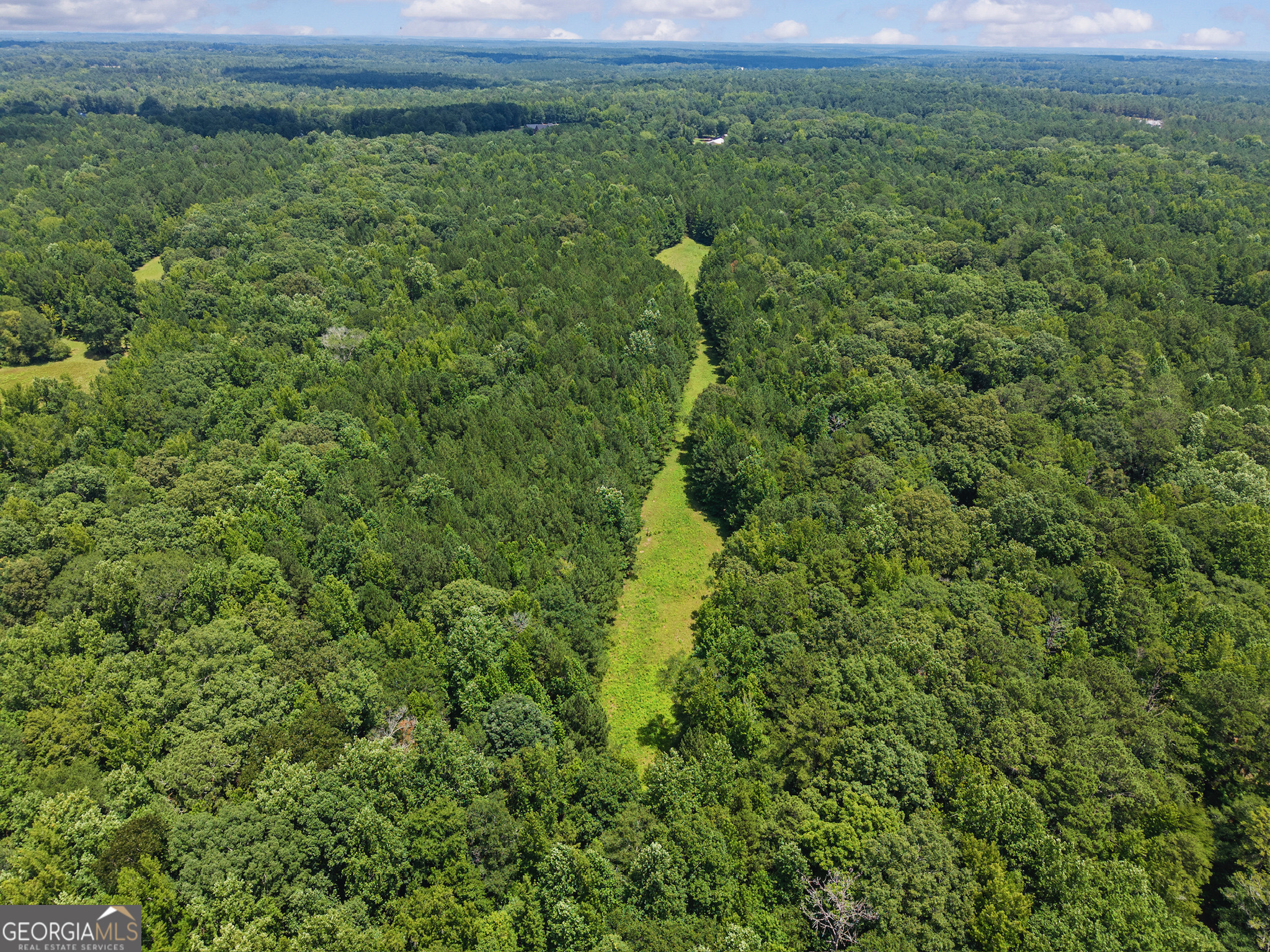2720 Doster Road Madison, GA 30650 - Photo 55 of 60 a view of a green field with lots of bushes