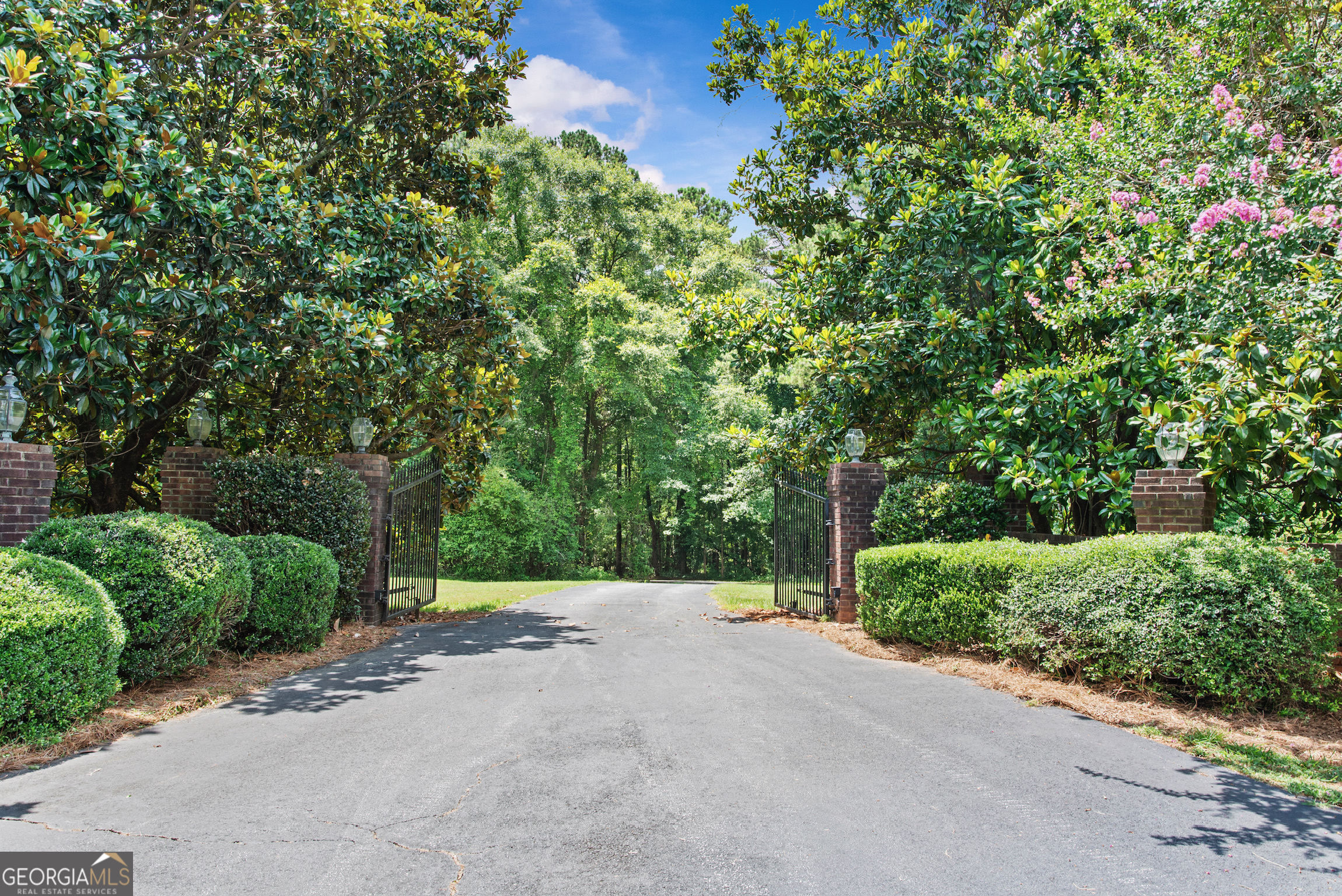 2720 Doster Road Madison, GA 30650 - Photo 6 of 60 a view of a garden with plants and large trees