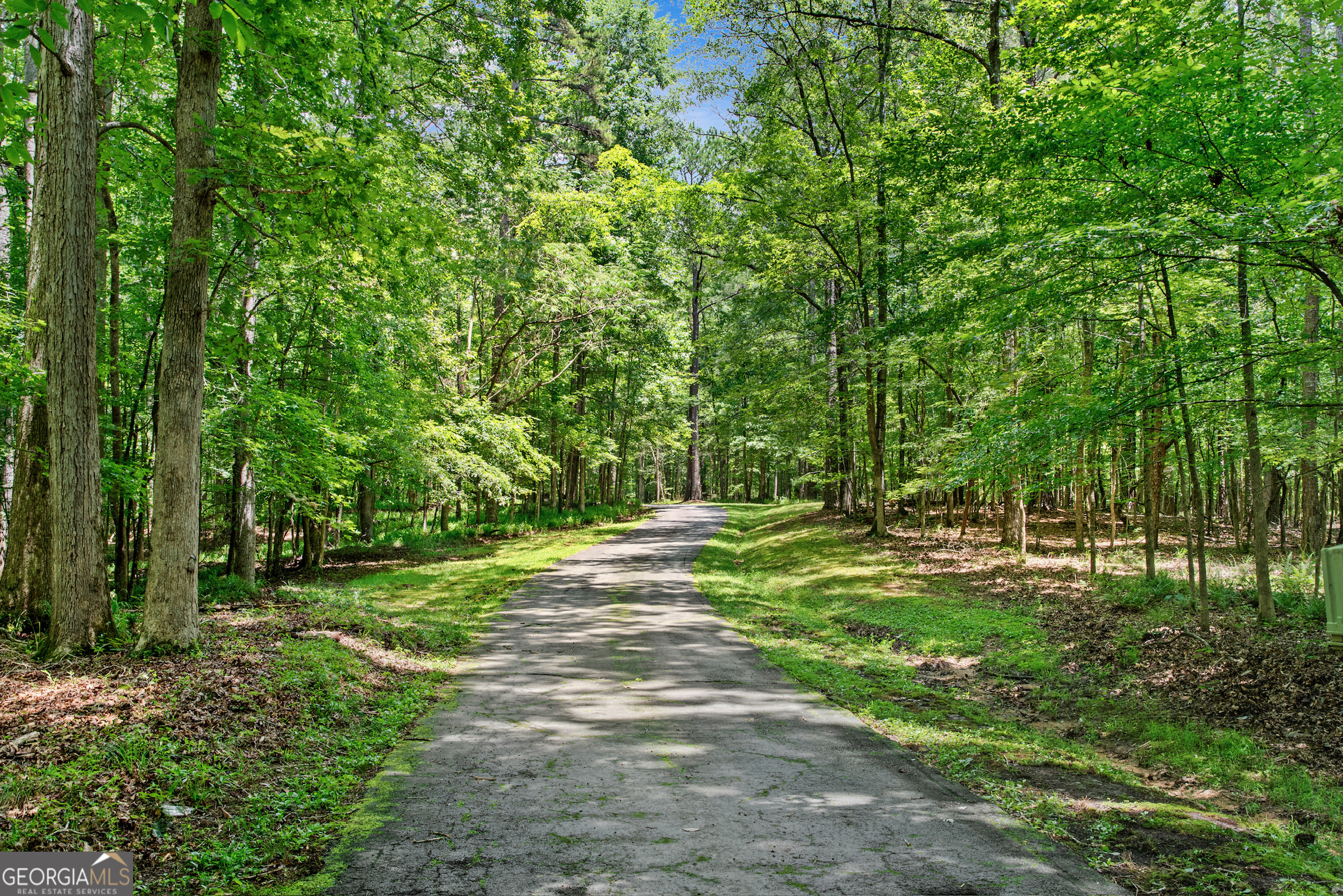 2720 Doster Road Madison, GA 30650 - Photo 7 of 60 a view of a park with a tree