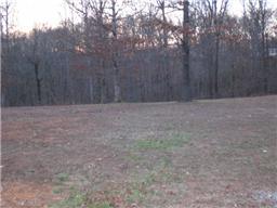 5521 Jackson White Road Franklin, TN 37064 - Photo 2 of 20