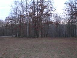 5521 Jackson White Road Franklin, TN 37064 - Photo 4 of 20
