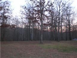 5521 Jackson White Road Franklin, TN 37064 - Photo 5 of 20