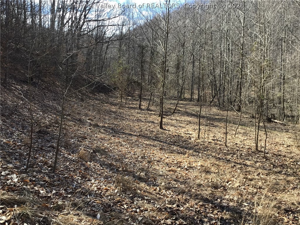 0 Bulger Road Alkol, WV 25501 - Photo 7 of 50 Gallery Image 7