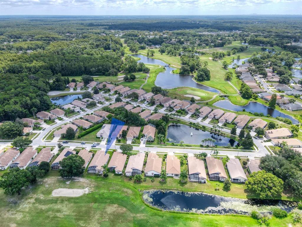 3944 Silk Oak Lane Palm Harbor, FL 34685 - Photo 48 of 60 Gallery Image 48