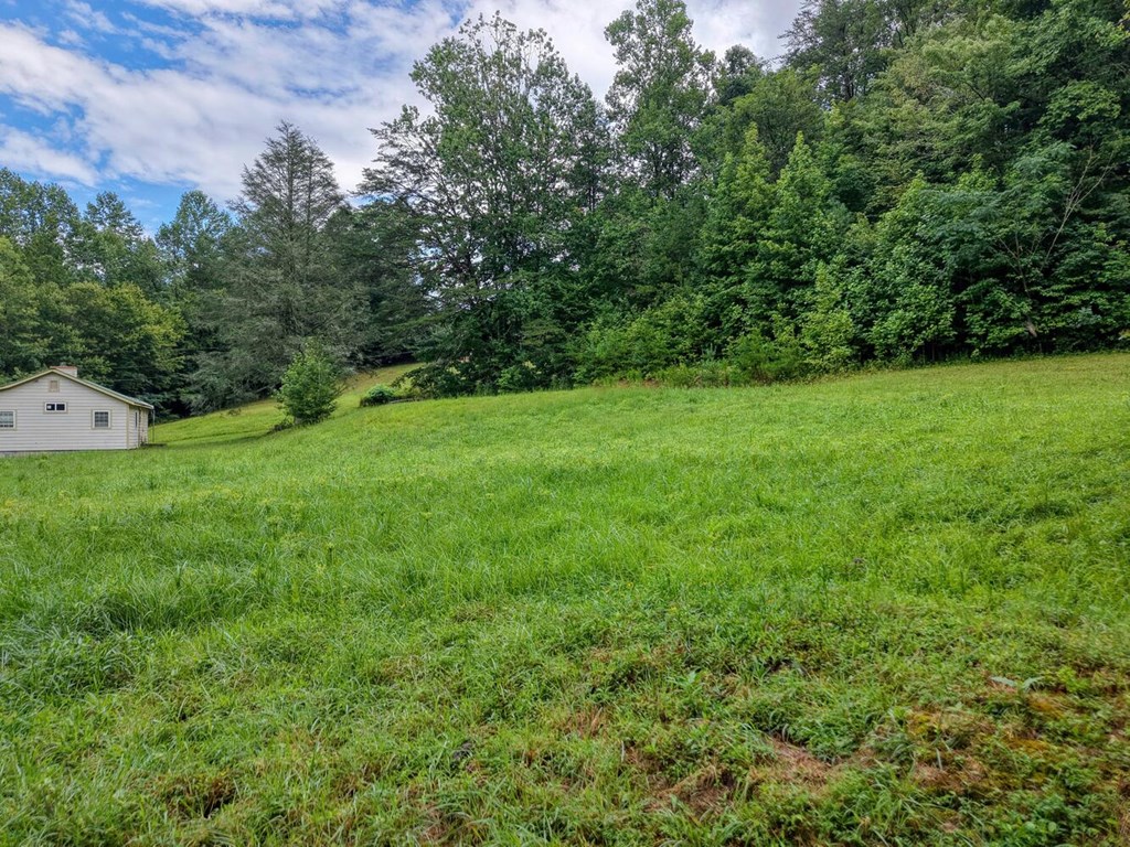 580 Emmaus Road Epworth, GA 30541 - Photo 21 of 33 a view of a field of grass and trees
