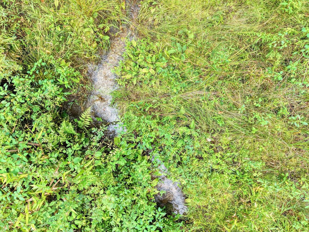 580 Emmaus Road Epworth, GA 30541 - Photo 23 of 33