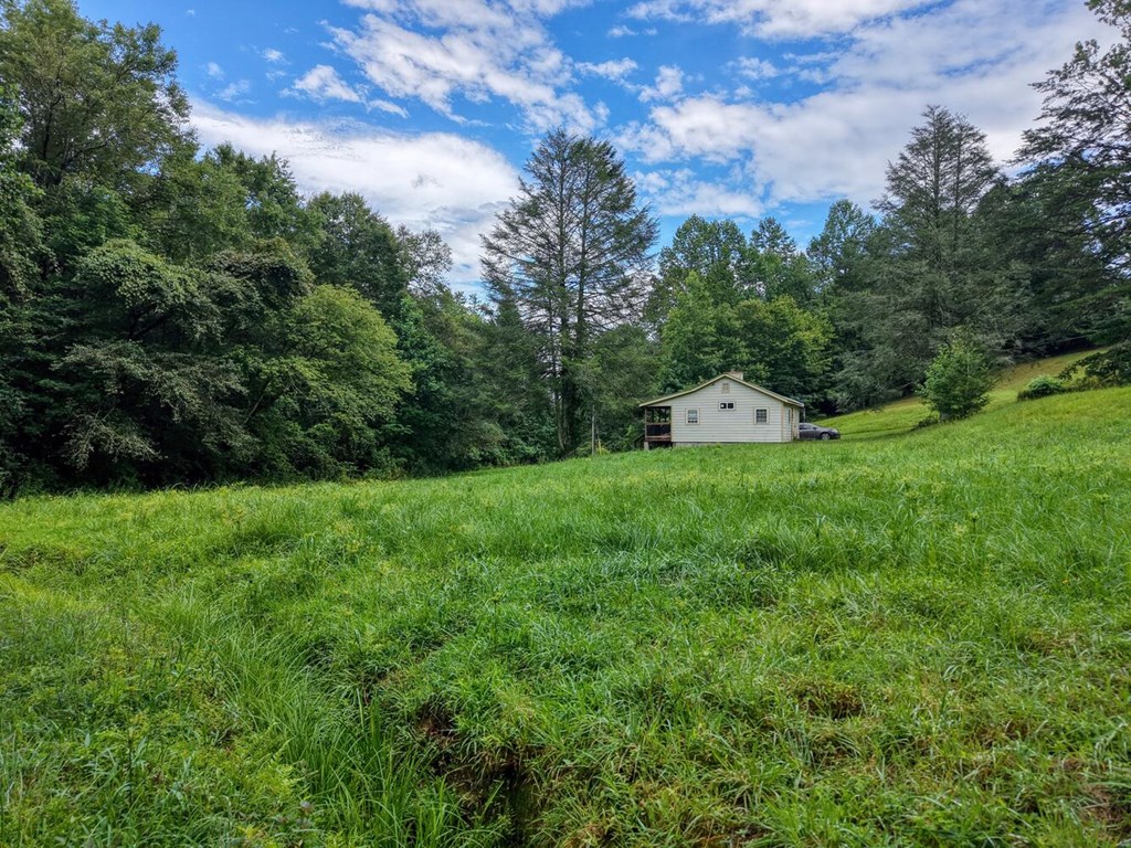 580 Emmaus Road Epworth, GA 30541 - Photo 25 of 33 a view of a back yard