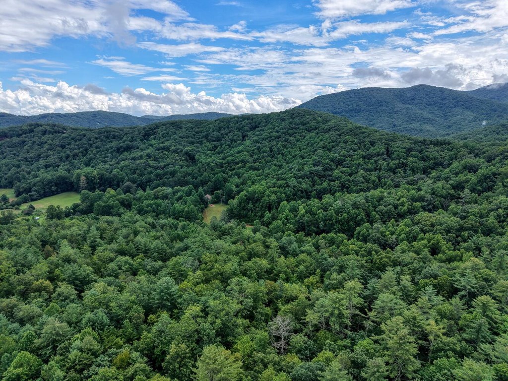 580 Emmaus Road Epworth, GA 30541 - Photo 31 of 33 a view of a green field with lots of bushes
