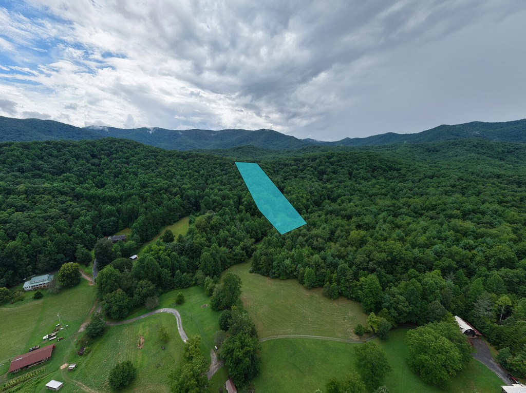 580 Emmaus Road Epworth, GA 30541 - Photo 32 of 33 a view of a green field with lots of bushes