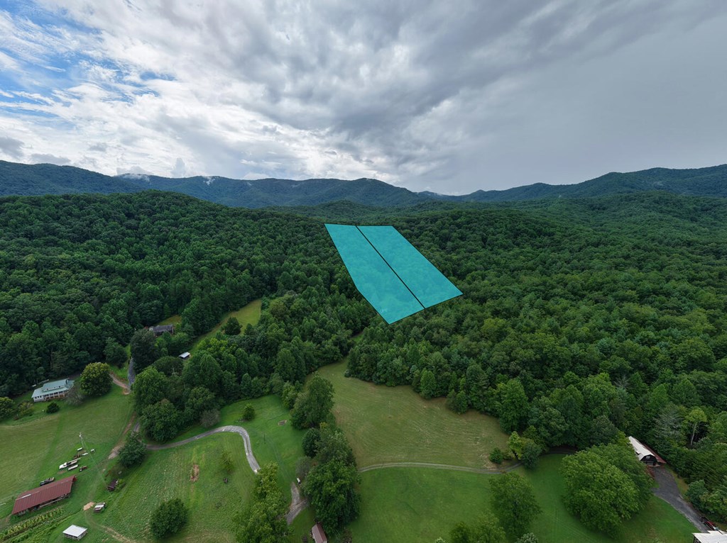 580 Emmaus Road Epworth, GA 30541 - Photo 33 of 33 an aerial view of a house with mountain view