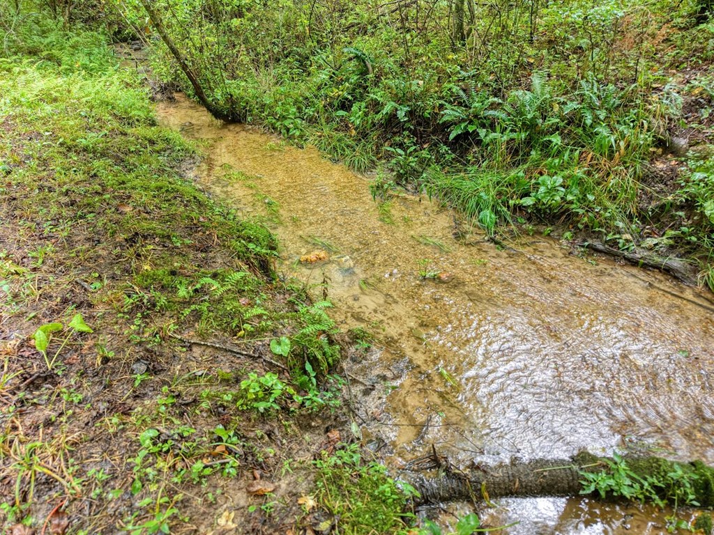 580 Emmaus Road Epworth, GA 30541 - Photo 4 of 33 a view of a yard with a tree