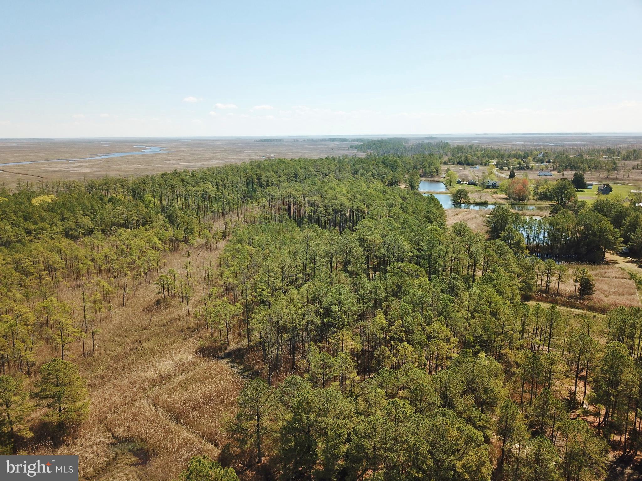 2432 Andrews Road Crapo, MD 21626 - Photo 21 of 60 23 acres of privacy