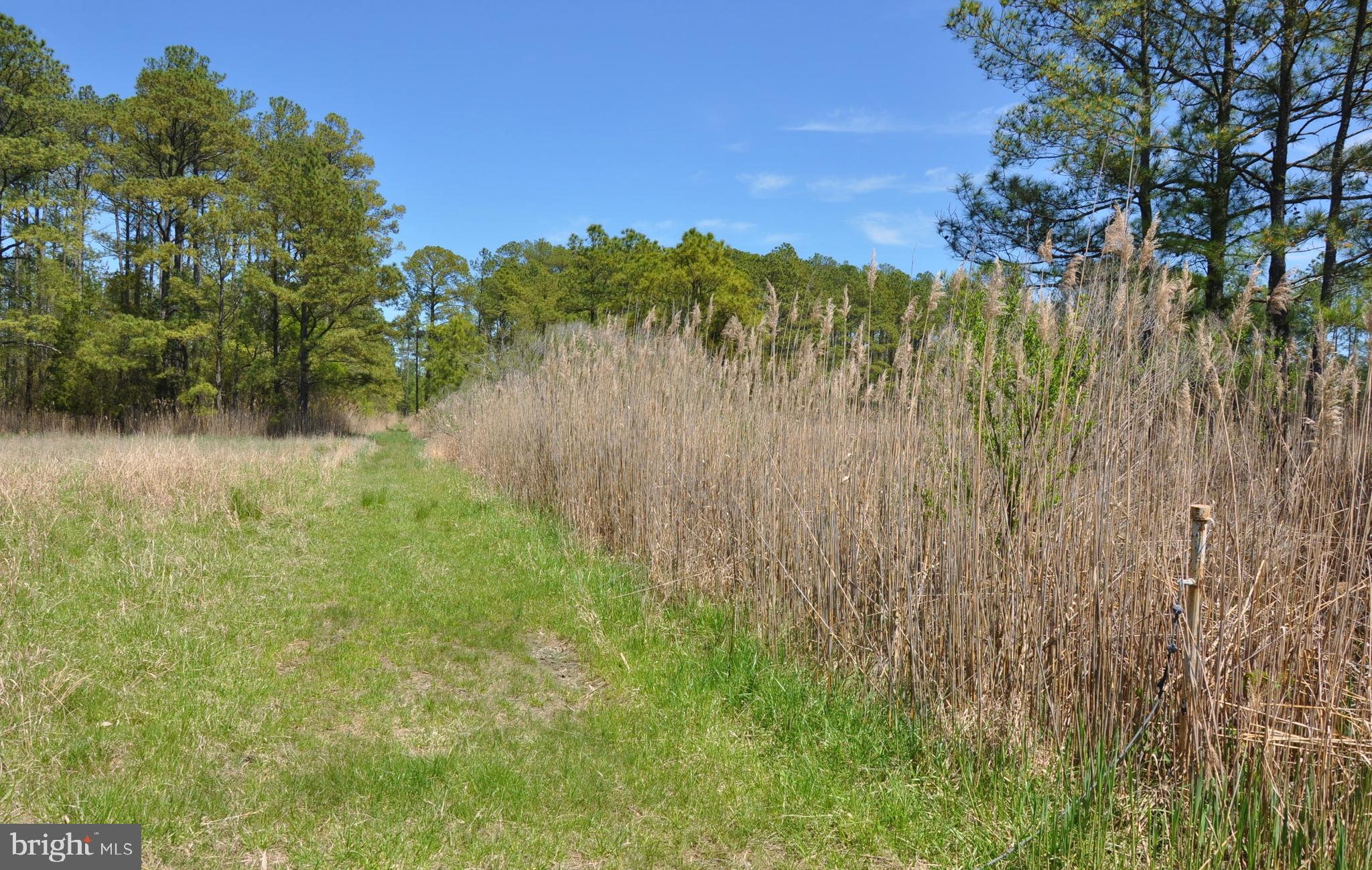 2432 Andrews Road Crapo, MD 21626 - Photo 29 of 60 Gallery Image 29